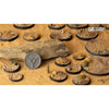 Deserts of Maahl Round 32mm (x8) New - Tistaminis