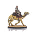 Shieldwolf Imperium Desertum Camel Cavalry (5 miniatures) New - Tistaminis