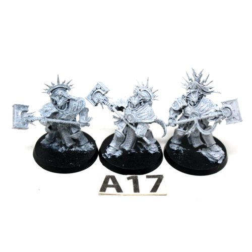 Warhammer Stormcast Retributors - A17 - Tistaminis