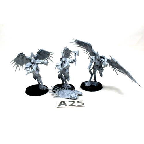 Warhammer Stormcast Prosecutors - A25 - Tistaminis