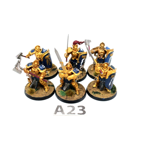 Warhammer Stormcast Paladins - A23 - Tistaminis