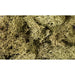 Woodland Scenics Lichen-Spring Grn WOO161 - Tistaminis