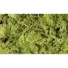 Woodland Scenics Lichen-Light Green WOO162 - Tistaminis