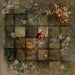 TerrainCrate: Fantasy Gaming Templates (x8) Dec-23 Pre-Order - Tistaminis