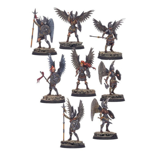 Shieldwolf Miniatures Northern Alliance Valkyires Plastic Kit (Box) New - Tistaminis