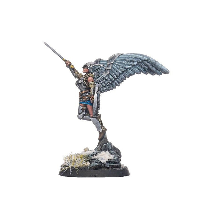 Shieldwolf Miniatures Northern Alliance Valkyries Heroine B New - Tistaminis