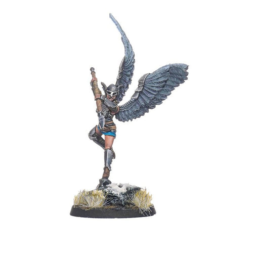 Shieldwolf Miniatures Northern Alliance Valkyries Heroine C New - Tistaminis