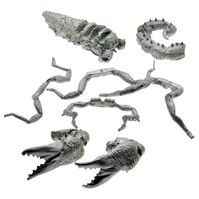 The Silver Bayonet Giant Scorpion