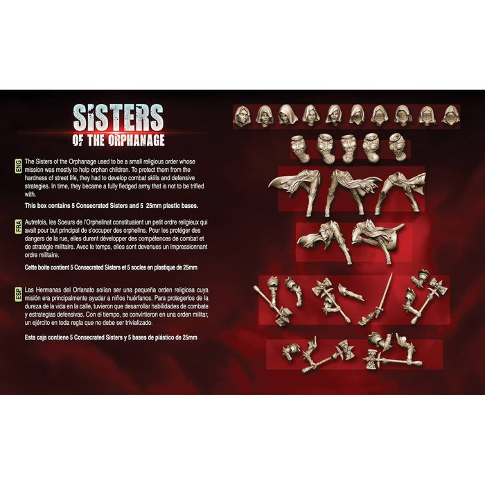 Raging Heroes Sisters of the Orphanage: Consecrated Sisters New