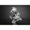 Shieldwolf Miniatures - Goblin Warrior Bust New - Tistaminis