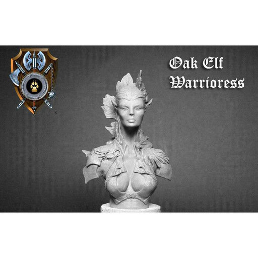 Shieldwolf Miniatures - Oak Elf Wariorress Bust New - Tistaminis