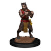 Dungeons and Dragons Nolzur Marvelous Miniatures: Wave 11: Satyr & Dryad - Tistaminis
