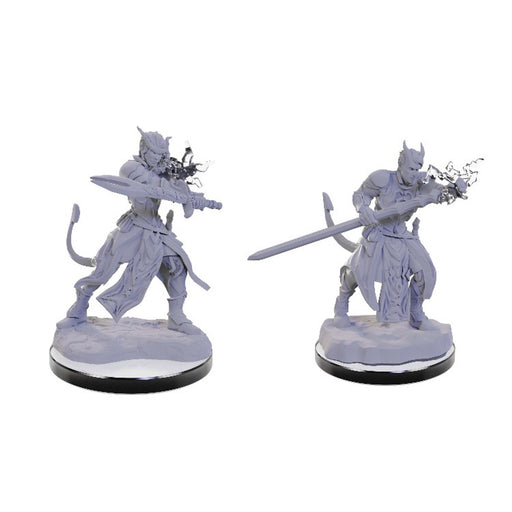 Dungeons & Dragons Nolzur's Marvelous Miniatures: Wave 22: Tiefling Warlocks New - Tistaminis