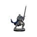 Dungeons and Dragons Nolzur's Marvelous Miniatures:Wave 15:Half-Orc Paladin Male - Tistaminis