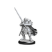 Dungeons and Dragons Nolzur's Marvelous Miniatures:Wave 15:Half-Orc Paladin Male - Tistaminis