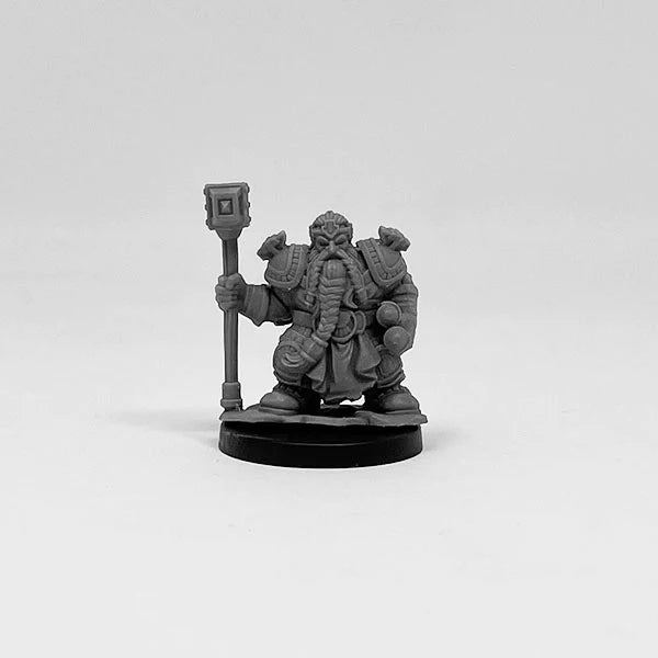 Next Level Miniatures Dwarf Paladin New - Tistaminis