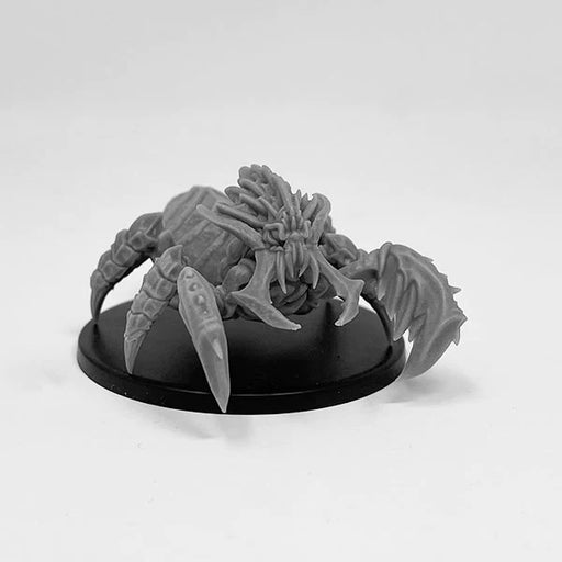 Next Level Miniatures Ankheg New - Tistaminis