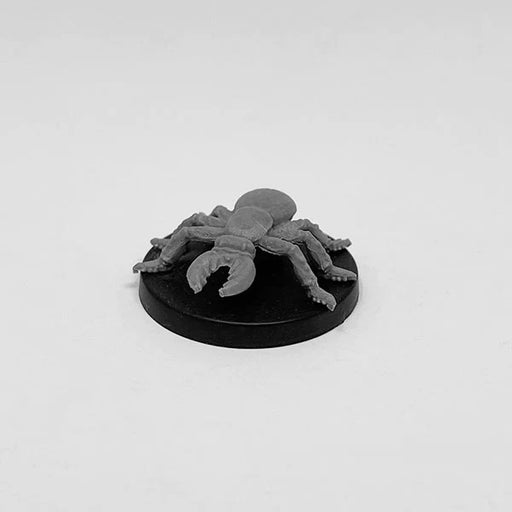 Next Level Miniatures Cave Beetle New - Tistaminis