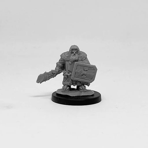 Next Level Miniatures Frost Dwarf New - Tistaminis