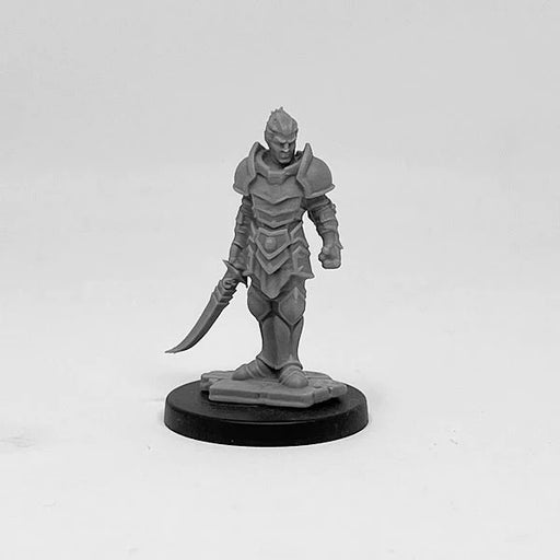 Next Level Miniatures Steel Elf New - Tistaminis