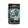 Dungeons and Dragons Nolzur's Marvelous Miniatures: Wave 15: Dragonborn Fighter - Tistaminis