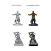 Dungeons and Dragons Wave 1: Human Male Monk New - Tistaminis