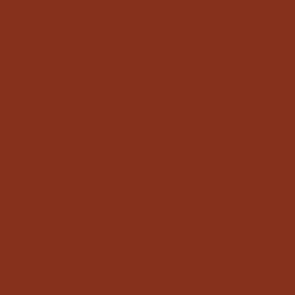 Vallejo Panzer Aces Paint Light Rust (70.301) - Tistaminis