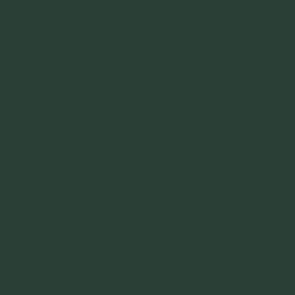 Vallejo Premium Color Paint Dark Green - VAL62014 - Tistaminis