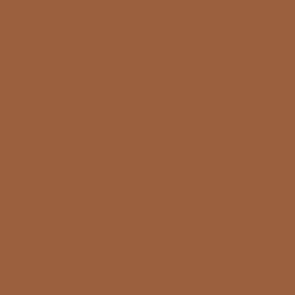 Vallejo Premium Color Paint Dark Ochre - VAL62016 - Tistaminis