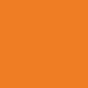 Vallejo Premium Color Paint Orange Fluo - VAL62033 - Tistaminis