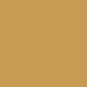 Vallejo Premium Color Paint Gold - VAL62049 - Tistaminis