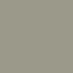 Vallejo Model Air Paint M495 Light Grey (71.298) - Tistaminis