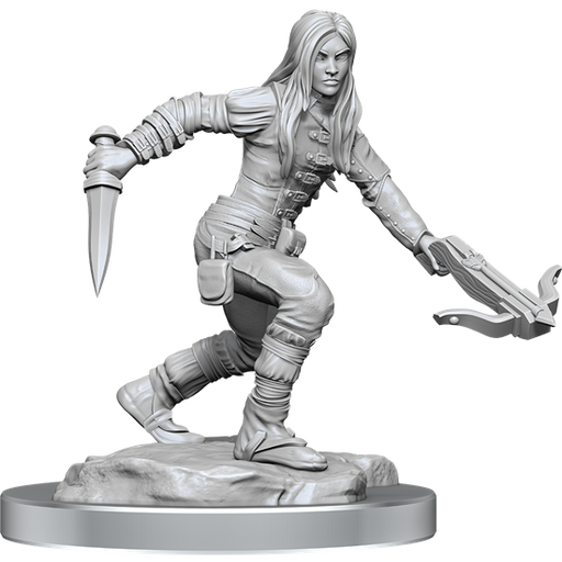 Dungeons & Dragons Nolzurs Marvelous Miniatures: Wave 17: Half-Elf Rogue Female - Tistaminis