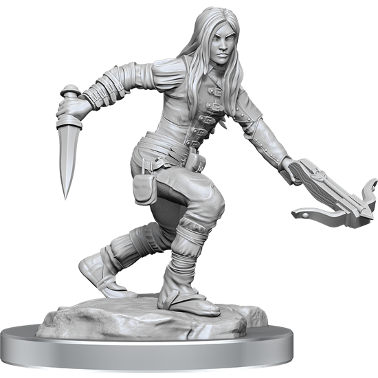 Dungeons & Dragons Nolzurs Marvelous Miniatures: Wave 17: Half-Elf Rogue Female - Tistaminis