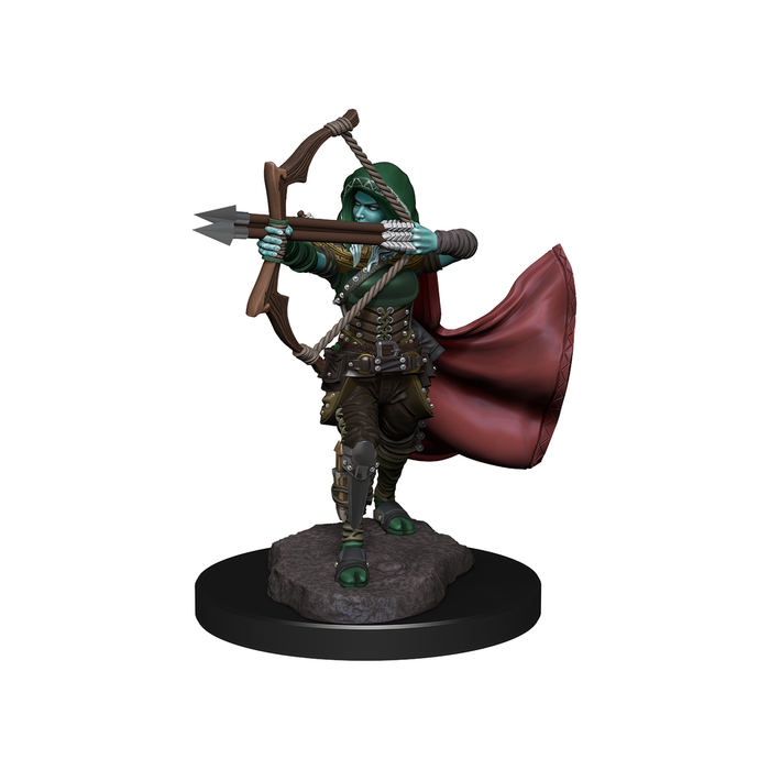 Dungeons and Dragons	Nolzur's Marvelous Miniatures: Wave 15: Air Genasi Female - Tistaminis