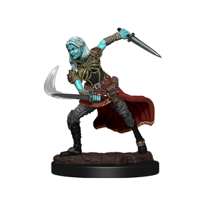 Dungeons and Dragons	Nolzur's Marvelous Miniatures: Wave 15: Air Genasi Female - Tistaminis