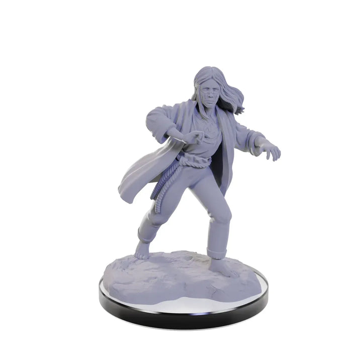 Dungeons & Dragons Nolzur's Marvelous Miniatures: Wave 22: Reborn Paladin & Reborn Warlock