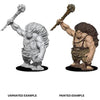 Dungeons and Dragons Nolzur's Marvelous Unpainted Miniatures: Wave 8: Hill Giant - Tistaminis