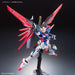 RG 1/144 #11 Destiny Gundam New - Tistaminis