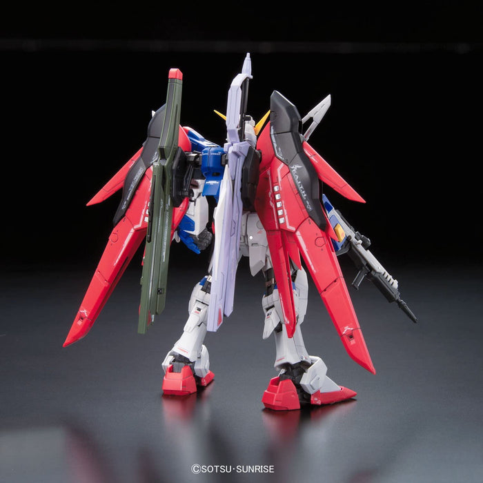 RG 1/144 #11 Destiny Gundam New - Tistaminis