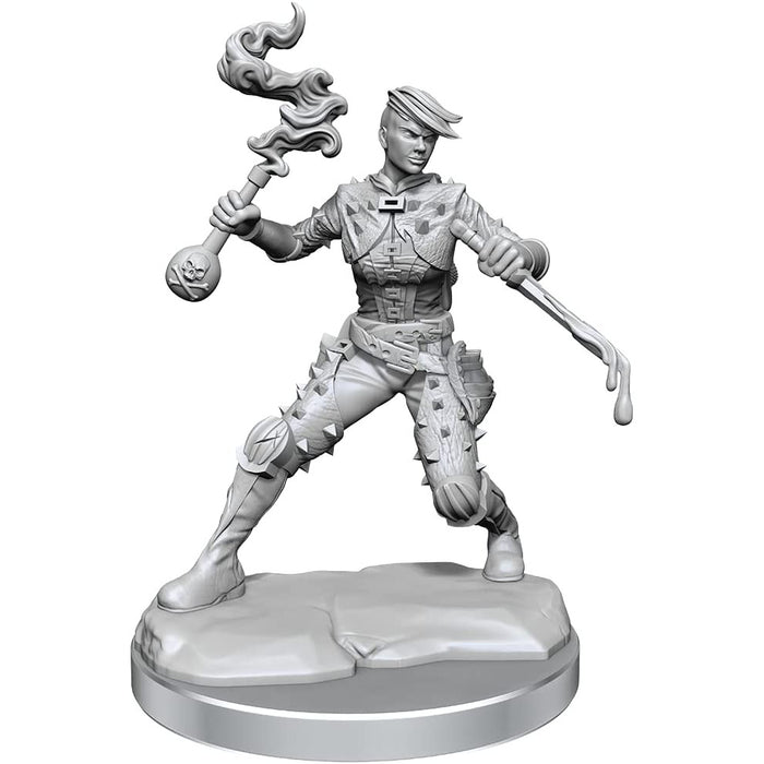 Dungeons and Dragons Frameworks: Human Rogue Female New - Tistaminis