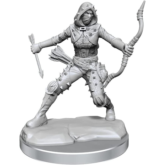 Dungeons and Dragons Frameworks: Human Rogue Female New - Tistaminis