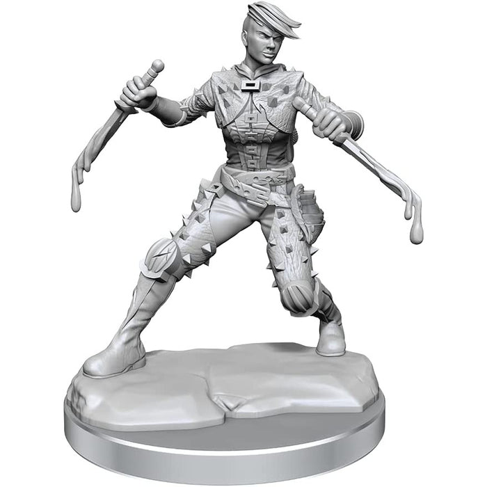 Dungeons and Dragons Frameworks: Human Rogue Female New - Tistaminis