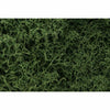 Woodland Scenics Lichen-Medium Grn WOO163 - TISTA MINIS