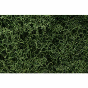 Woodland Scenics Lichen-Medium Grn WOO163 - TISTA MINIS