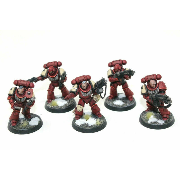 Warhammer Space Marines Intercessors Well Painted - JYS78 | TISTAMINIS