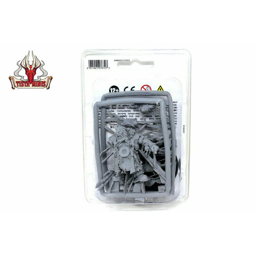 Warhammer Ogre Kingdoms Icebrow Hunter New - TISTA MINIS