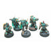 Warhammer Space Marines Sternguard Veterans Well Painted Custom - JYS97 - TISTA MINIS