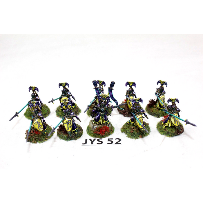 Warhammer High Elves Auralan Wardens Well Painted - JYS52 - Tistaminis