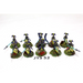 Warhammer High Elves Auralan Wardens Well Painted - JYS52 - Tistaminis